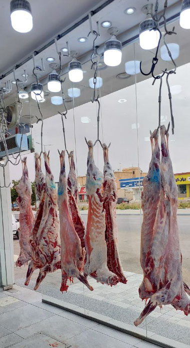 لحوم خير البركة