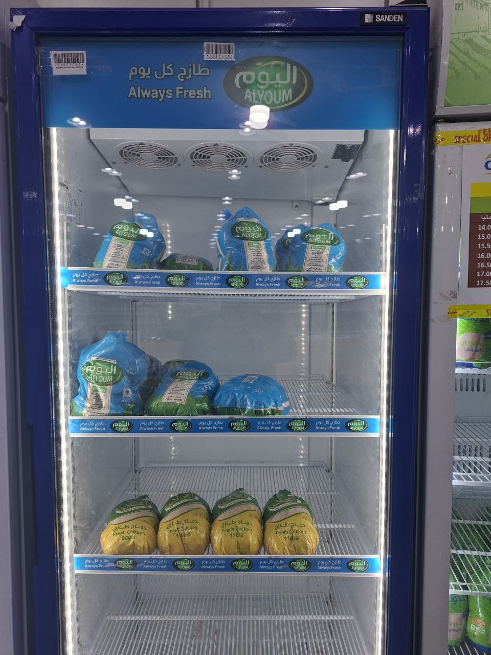 دجاج اليوم