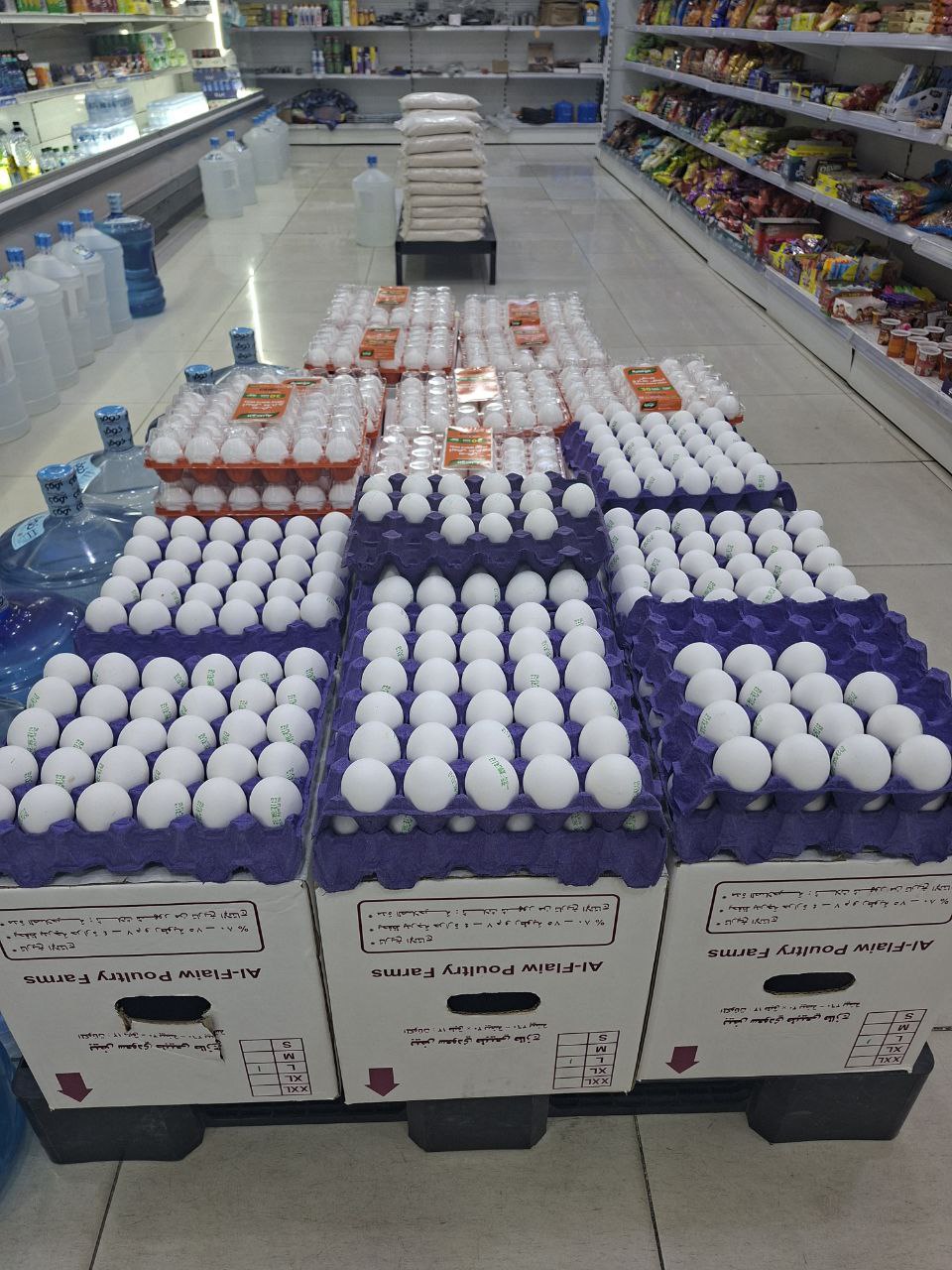 البيض