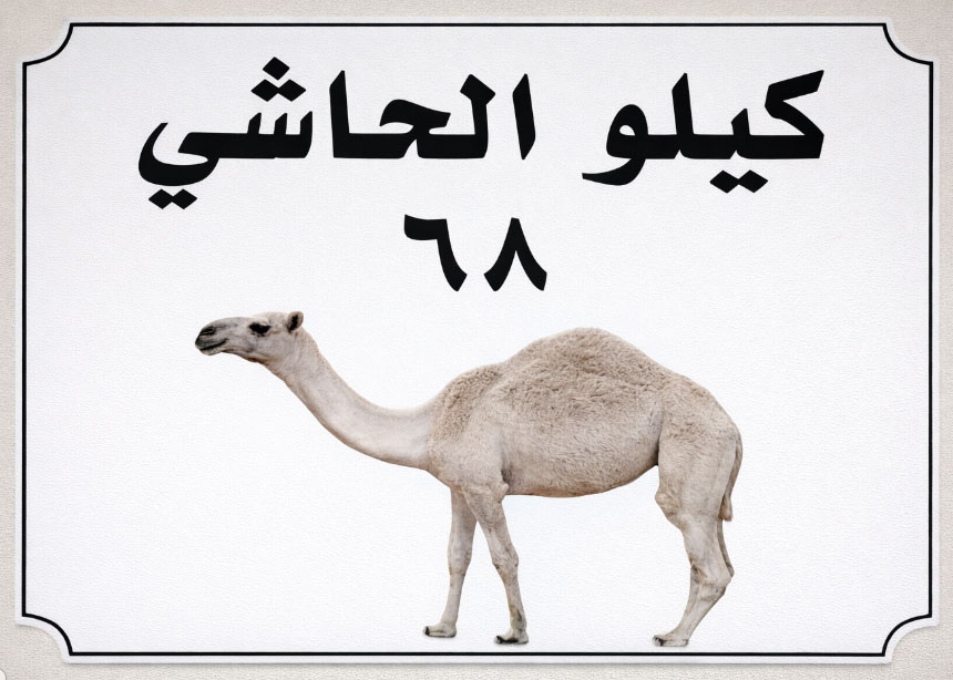 حاشي