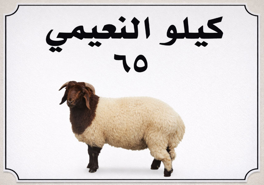 نعيمي